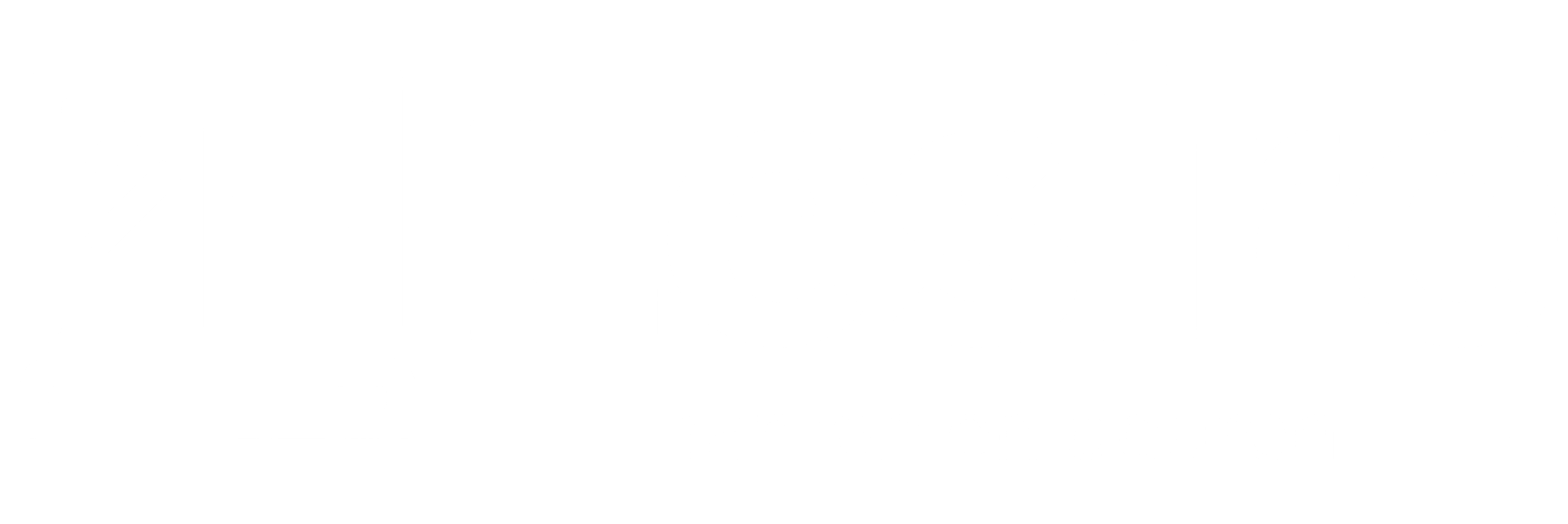 Lesire ramen en deuren – logo